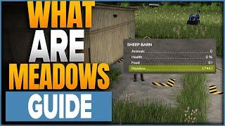 What Is The Meadow Stat In Pastures In Farming Simulator 25