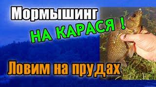 Мормышинг на Карася! Ловим на прудах.