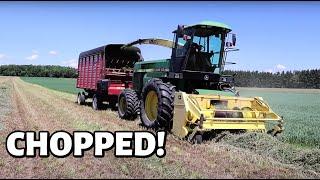 Custom Chopping HAY!  (FIRST CUT HAY 2020 - PART TWO): Vlog 306