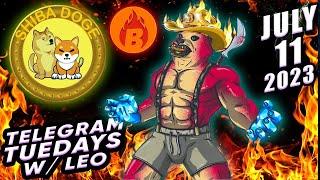  Bullish ShibaDoge Burn Hangout Lunched by Shiba Inu Shibarium Doge Coin Multi Millionaires Whales