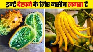 दुनिया के सबसे दुर्लभ फल | Rarest Fruits in the World