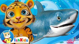 Baby Shark & Tiger | Nursery Rhymes | Baby Songs | IshKids Baby Songs