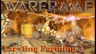 Warframe - Larvling Farming