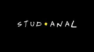 StuDAnaL "Friends" opening