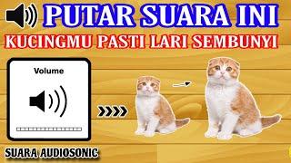 SUARA PENGUSIR KUCING INI BISA MEMBUAT KUCINGMU LARI