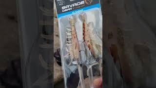 3D Shrimp Savage Gear