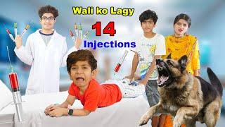 Wali ko Lagy 14 injections | Kutte ne kat lia | MoonVines