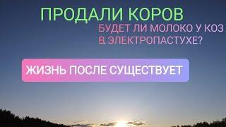 КАК ПОВЫСИТЬ УДОИ У КОЗ В ЭЛЕКТРОПАСТУХЕ!