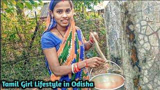 In order to drink in Odisha, water must be taken from the well || Daily Vlogs 