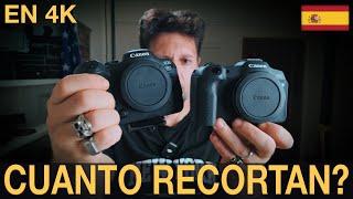 Canon R6 VS Canon R8 - Cuanto Recortan en 4K