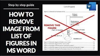 Remove Image | Figure from List of Figures or Table for Figures in MS Word 2007 and above