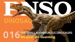 016 Meiguan the Guanlong | The Small Carnivorous Dinosaurs | PNSO DINOSAUR MUSEUM Season III