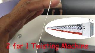 Multiple Ply Yarn Two for One Twisting Machine Small Rope Making Equipment
