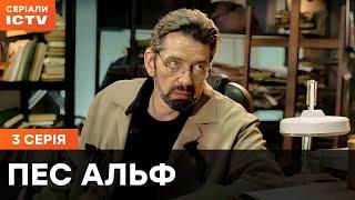 Пес Альф 1 сезон 3 серия | ДЕТЕКТИВЫ | СЕРИАЛ ICTV| КОМЕДИИ