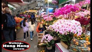 Walking HONG KONG Streets 2024: Gresson Street 機利臣街 Wanchai (Flower Market)