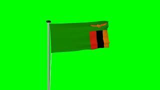 Zambia flag green screen videos free use #national #flags