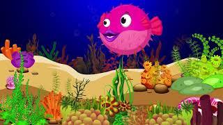 Bedtime Lullabies and Calming Undersea Animation Baby Lullaby #65 Lullaby Goods For Baby