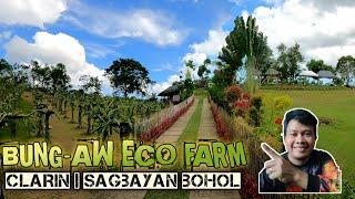 Trip to Eco Farm in Clarin | Sagbayan Bohol || Visiting Dragon Fruit Farm