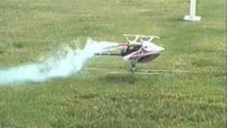 3D Nitro Helicopter Cuts Grass incredible RC Inverted Hover