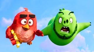 The Moment Birds and Pigs Decide to Work Together | The Angry Birds Movie 2