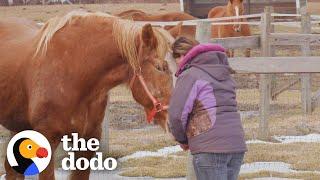 Rescue Horse Who Was Too Scared To Eat Loves Her New Home | The Dodo Adoption Day