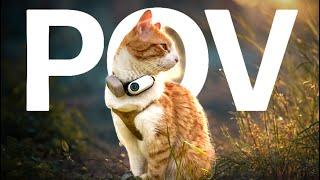 New Day, New Adventure: CAT POV | Ros' Vlog part #06
