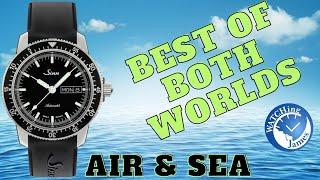 Sinn 104 - Is this the Best Dive and Pilot Watch? - A full review - #watch #bestwatches