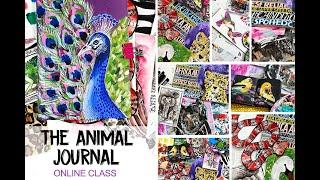 NEW CLASS! the animal journal