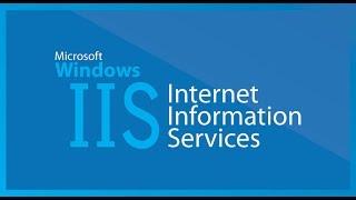 Configuring the Default Website for Public Access and Creating Virtual Directories(IIS)