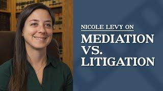 Mediation vs. Litigation | Nicole Levy