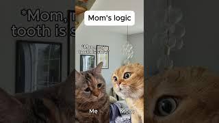 Cat memes  Mom's Logic #catmemes #relatable #cat #catshorts #shorts #mom