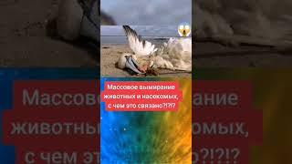 Шестое вы️ирание Видов #экология #климат #выходесть