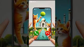 Catcall #nocomment #aicat #monkcall #monk #ringtone #ringtones #2025