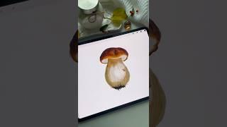 Drawing Process in Procreate - Watercolor Porcini Mushroom - Tutorial #shorts #procreate #tutorial