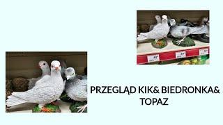 PRZEGLĄD BIEDRONKA& KIK & TOPAZ