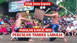 KANCIL MAS VS KELABANG KEMBAR || PERESEAN TANDEK LABULIA TERBARU