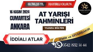 16 KASIM 2024 CUMARTESİ ANKARA At Yarışı Tahminleri