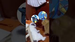 intelion vs lucario