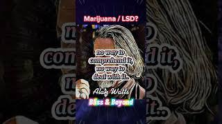 Doing MARIJUANA, LSD? | Alan Watts #bliss #enlightenment #alanwatts