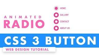 CSS 3 Animated Radio Buttons - Web Design Tutorial