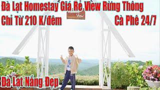 Đà Lạt Homestay View Đẹp Giá Rẻ Bất Ngờ Cà Phê View Săn Mây