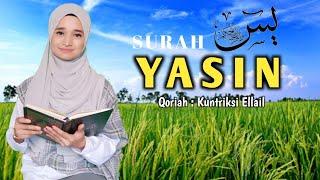 BACAAN MERDU SURAH YASIN - Kuntriksi Ellail