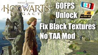 Hogwarts Legacy  ~ Fix Black Textures | No TAA | 60FPS | Ryujinx  | PC Switch Gameplay