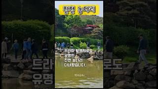 ‍60대 일상｜진천 농다리｜백세공주 #브이로그 #5060