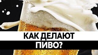 Как ДЕЛАЮТ ПИВО? Польза и вред пива. Вся правда!