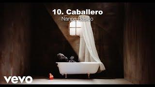 Nanpa Básico - Caballero (Visualizer)