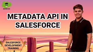 METADATA API in Salesforce | Salesforce Development Course