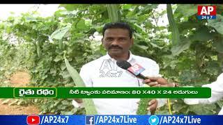 Farmer Success with Hybrid Ridge Gourd and Bitter Gourd Cultivation | Rythu Ratham | AP24x7