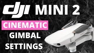 DJI MINI 2 | CINEMATIC GIMBAL SETTINGS
