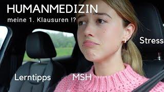 Humanmedizin - meine ersten KLAUSUREN (Lerntipps, Zeitaufwand, Stress, MSH) | Sinja Espenhain